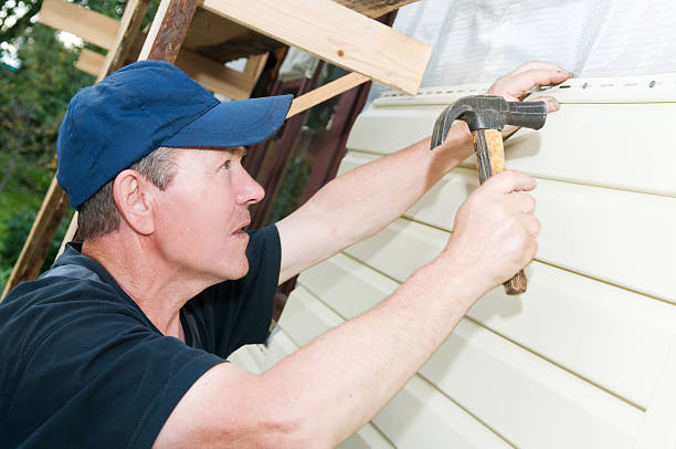 Best Stone Veneer Siding  in Waterloo, IN